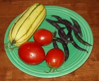 Delicata Squash, Amish Paste Tomatoes and Purple Pod Beans