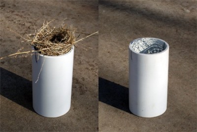 Thermometer Shield with and without bird nest